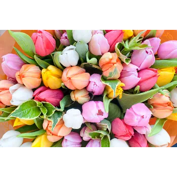 Natural Cut Flowers